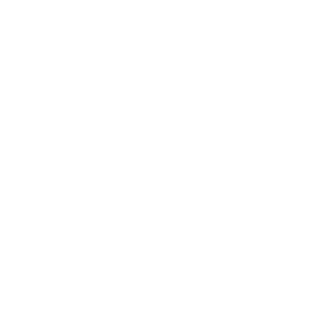 Oil Boilers