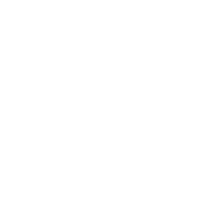 Power Flushing